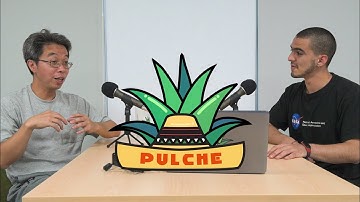 Pulche Podcast #17 - Shih-Chieh Hsu on the Belle Experiment and Beauty Particles