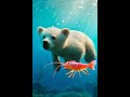 Polar Bear Adventure | Meets a Shrimp 🍤 | Ocean Animals for Kids #kidslearning #educationalvideos