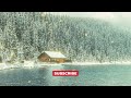 Relaxing Lofi Beats ❄️ Background Music for Study/Work/Reading