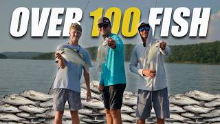 15 Casts...15 Bass | Over 100 Fish caught in ONE DAY!