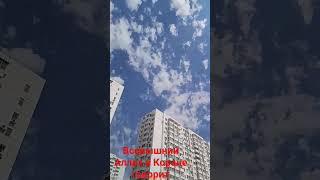 Всевышний Аллах в Коране говорит