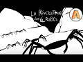 LA RÉVOLUTION DES CRABES - Court métrage d'animation - Arthur de Pins - France