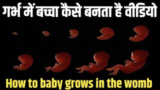 How to baby grows in the womb. गर्भ में शिशु कैसे बनता है? स्पर्म से लेकर बच्चा पैदा होने तक का सफर|