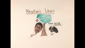 Newton