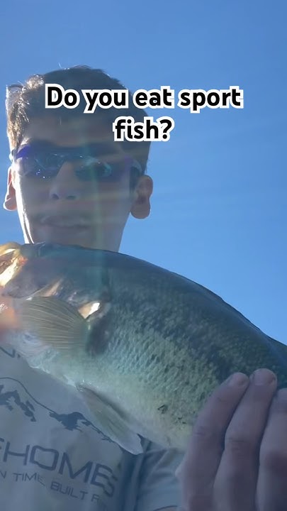 How Does Bass Taste What Way Would U Recommend Cooking It fishing how-does-bass-taste-what-way-would-u-recommend-cooking-it-fishing