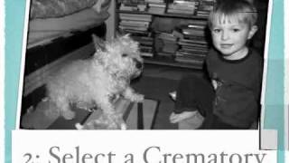 5 Tips When Planning A Pet Cremation!