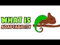 What is adaptability  explained in 2 min