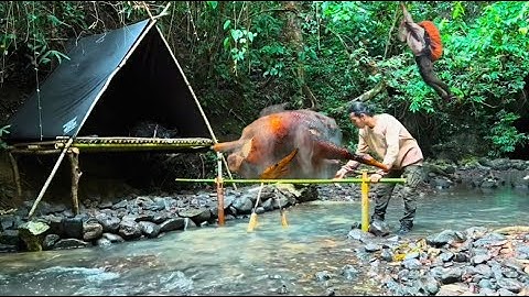 Building a Survival Tree Trunk House | Solo Bushcraft Shelter in the Deep Woods