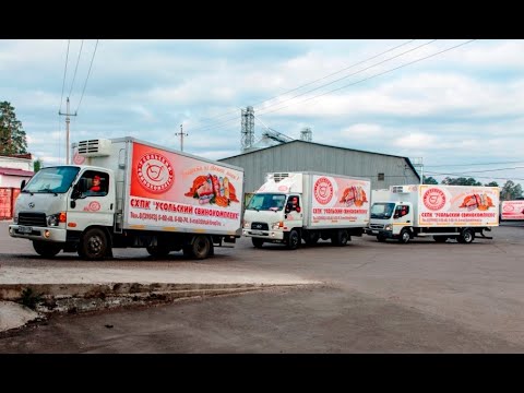 Видео: Свинекомплекс Усолски, Иркутска област. Земеделски предприятия