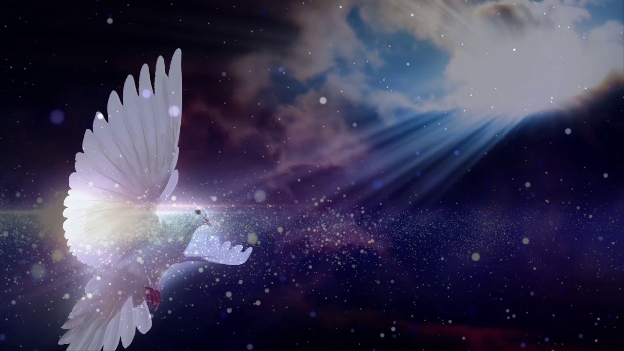 Como ser consolado por la muerte de un ser querido