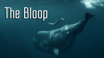 The Bloop: Did a Creature Make the Most Mysterious Sound Ever Recorded in the Ocean?