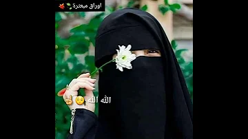 اروع حلات واتس اب دينية الله الله مالنا مولى سوى الله 