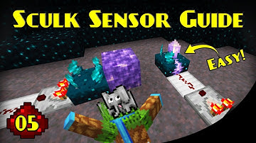 Sculk Sensor & Catalyst Guide | Let