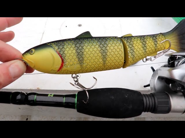 7.5 Inch Glide Bait Catches Big Smallmouth (Baitsanity Antidote) 