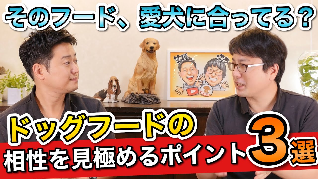 【愛犬のドッグフードの相性を見極めるポイント３選】をペットショップ店長が解説します！