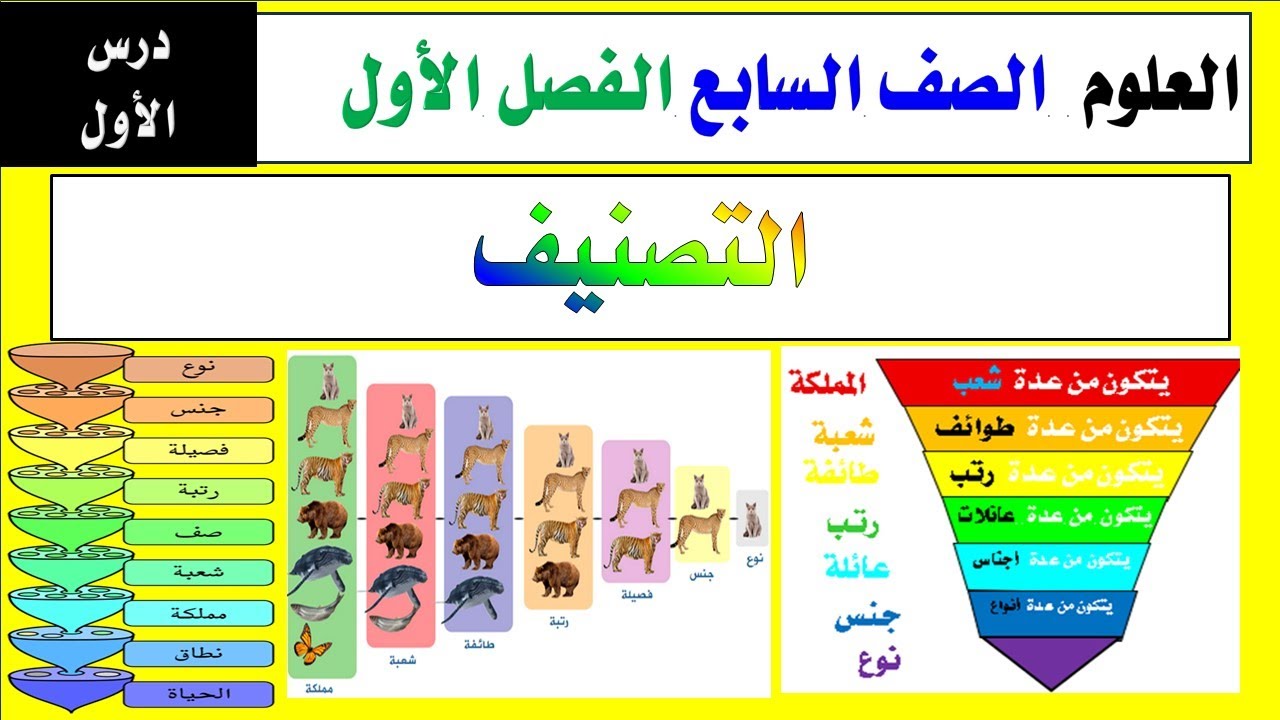الدرس الأول ( التصنيف ) العلوم الصف السابع الفصل الاول والاجابة على اسئلة مهمة تأتي في الاختبار