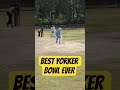 How to Bowl Yorker in Cricket #cricketshorts #viralcricketshorts #bowlingtips #bowlingpractice #fyp