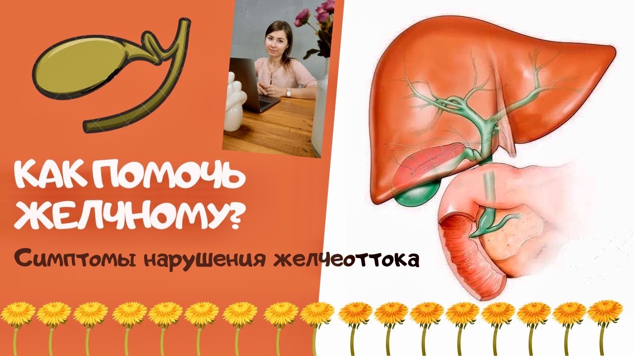 Как помочь желчному пузырю. Нарушение желчеоттока. Улучшение желчеооотока.