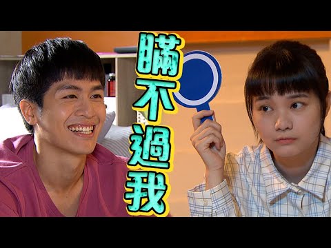三隻小豬的逆襲│EP44+預告 曉諾努力融化芳誼心 晉舟當起完美特助 Piggy's Counterattack│Vidol.tv