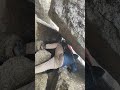 Kinaur Kailash рџ ЏрџЏ Kinaur Kailash рџ ЏрџЏ