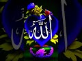 Tum naseerun with america kon sunega🕋✅️🕌😭✅️