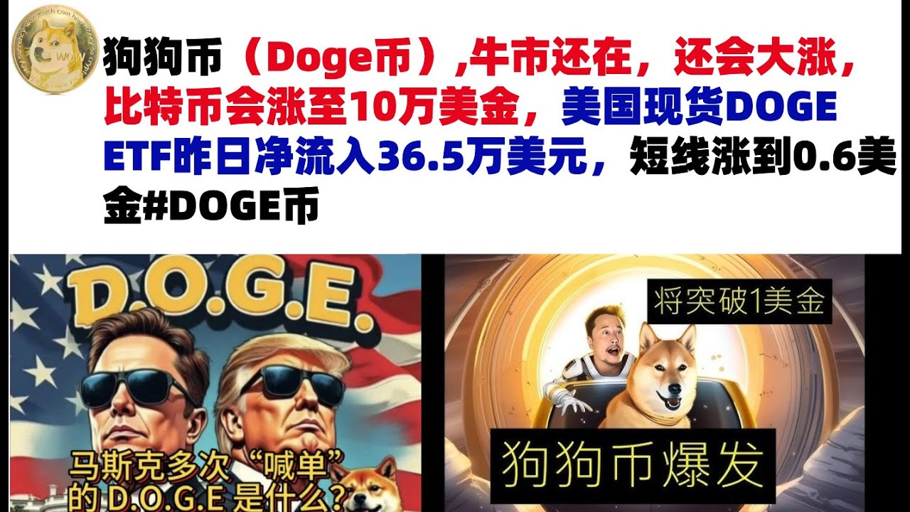 狗狗币（Doge币）,牛市还在，还会大涨，比特币会涨至10万美金，美国现货DOGE ETF昨日净流入36.5万美元，短线涨到0.6美金#DOGE币 #马斯克狗狗币#DOGE行情分析-