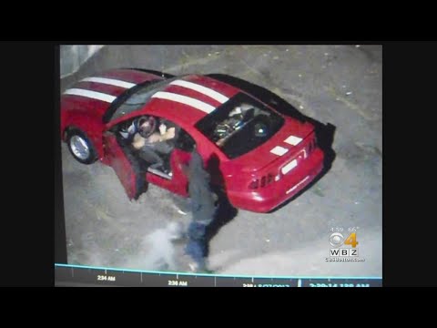 Lynn Ma Shooting Yesterday