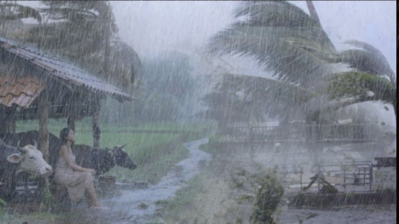 МОЛНИЯ УДАРИЛА ОПЯТЬ ‼️ СЛОЖНОСТЬ ЗАПЕЧАТАТЬ ДОЖДЬ В ДЕРЕВНЕ