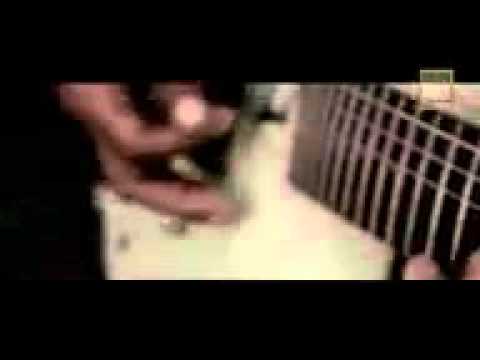 sasak ngeridit firman sekotong