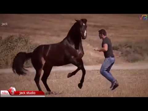 चकरी Dance Lilan Singare New Mix लिलण सिंगारे Super Hit Song Rajasthani Video 0t