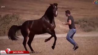 चकर Dance Lilan Singare New Mix ललण सगर Super Hit Song Rajasthani Video 0T