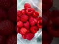 Raspberry توت احمر