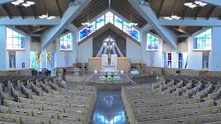 Funeral Mass Dana Vink - May 8, 2026