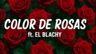 color de rosa LIVE- El Blachy FT Nelly Bless