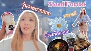 Vlog เกาหลีเกาใจEP1|Seoul Forest|โลกของดรีม