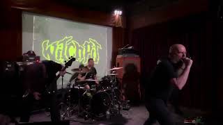 Witchpit - Fire Ice Live 2025