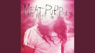 Video thumbnail of "Meat Puppets - Backwater"