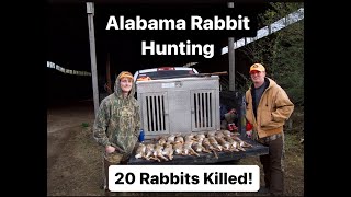 RABBIT HUNTING | 20 RABBITS HARVESTED | (Alabama rabbit hunting)