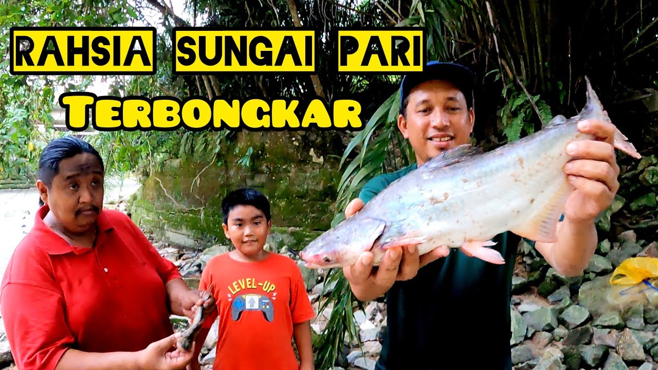 ABANG AMOK PECAHKAN RAHSIA SUNGAI PARI #ipoh