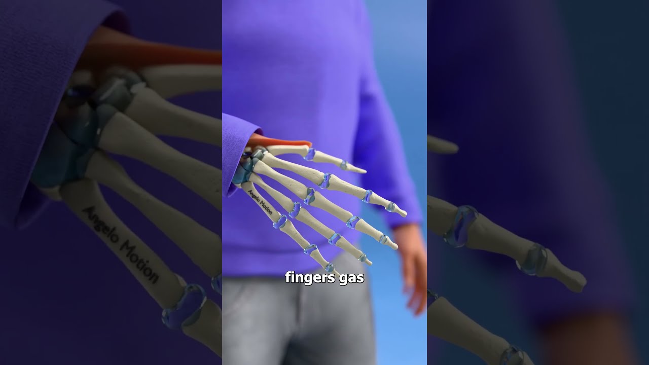 Why Your Knuckles Crack Biology Science Shorts