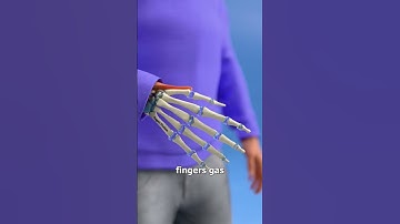 Why Your Knuckles Crack 😨 #biology #science #shorts