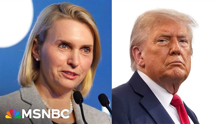 'Detrimental' and 'bad': Ex-ambassador slams Trump on Ukraine, launches bid for Congress