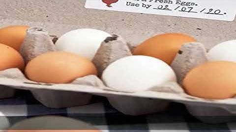 Avery File Folder Labels, 6667 x 3.4375", White, Pack of 150 (08593)