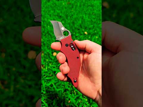 A Strange Knife From Spyderco, The Dodo! @theponz13    