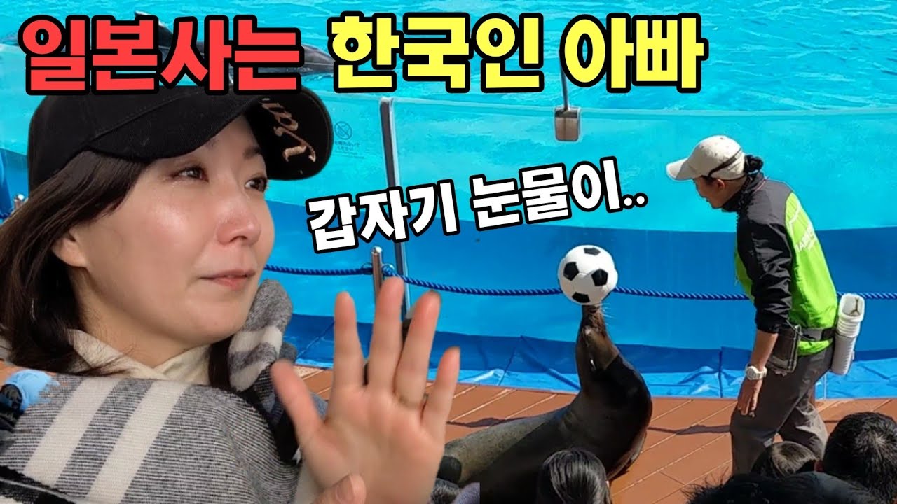 물개를 보고 눈물 훌리는 일본 아내(일본 수족관,후쿠오카 마린월드)