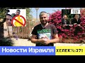 ГАСИТЬ ПОЖАР БЕНЗИНОМ ИЛИ КАК ОНИ УНИЧТОЖАЛИ ИЗРАИЛЬ. НОВОСТИ ИЗРАИЛЯ / ХЕЛЕК ВЫПУСК№371