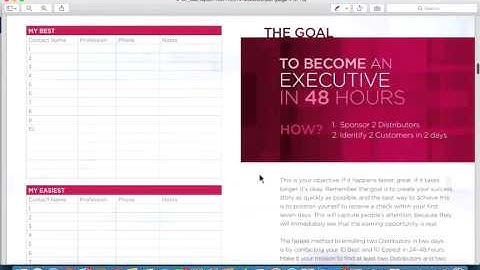 MLM Rockstars focused training on 3-way calling and reaching executive!