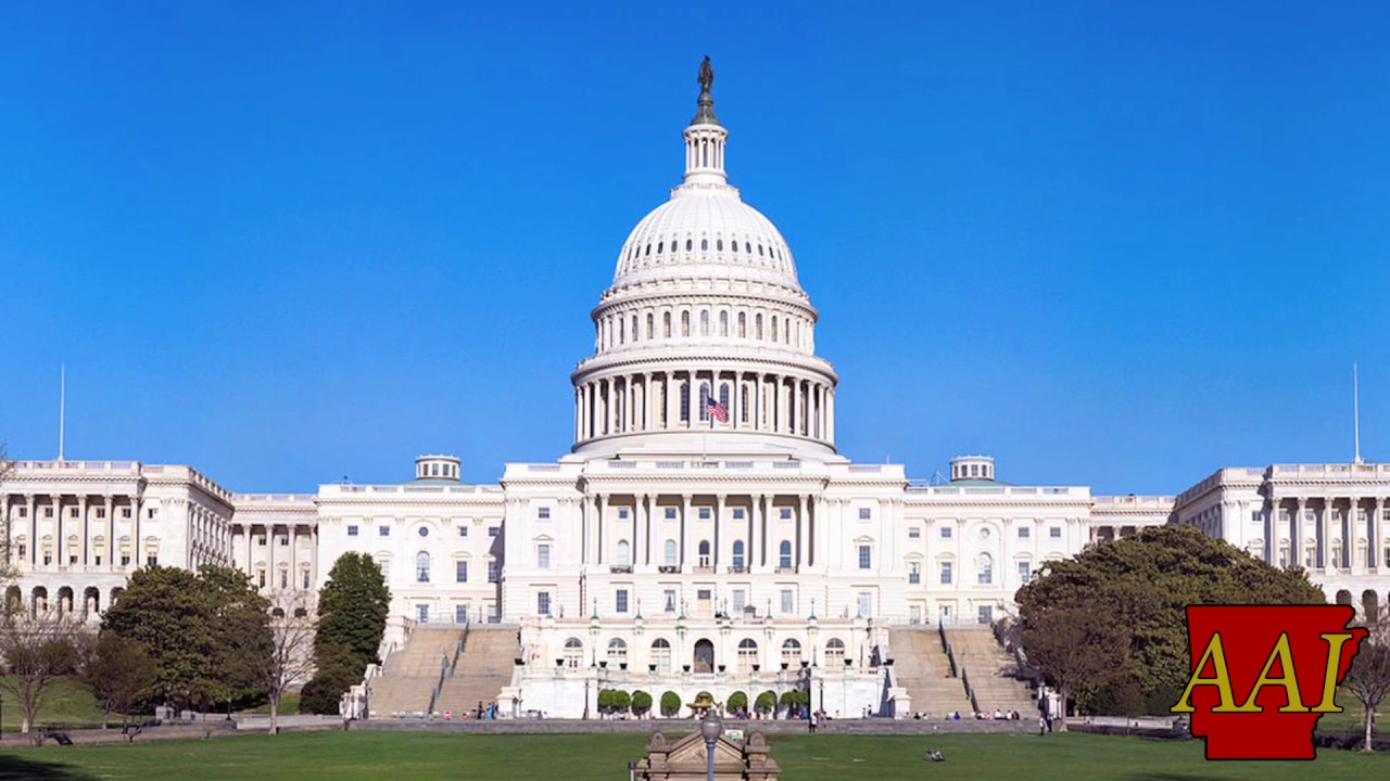 The Regulation Freedom Amendment