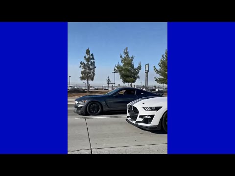 SHELBY MUSTANGS ROLLING