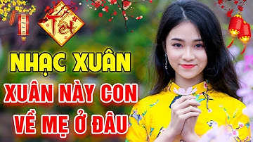 Nhạc Tết 2020 - Nhạc Xuân 2020 - Liên Khúc Nhạc Tết Mới Hay Nhất 2020 - Xuân Canh Tý 2020